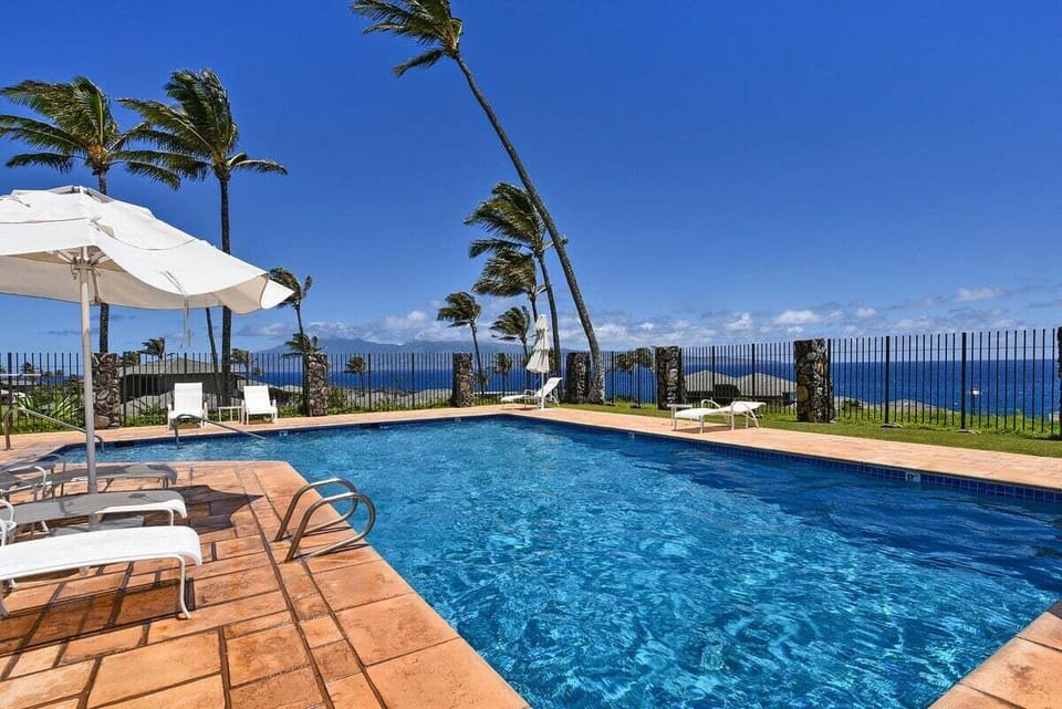 Swim in a sparkling pool overlooking the ocean and surrounded by palm trees.