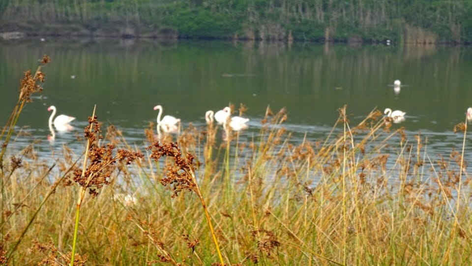 Lake