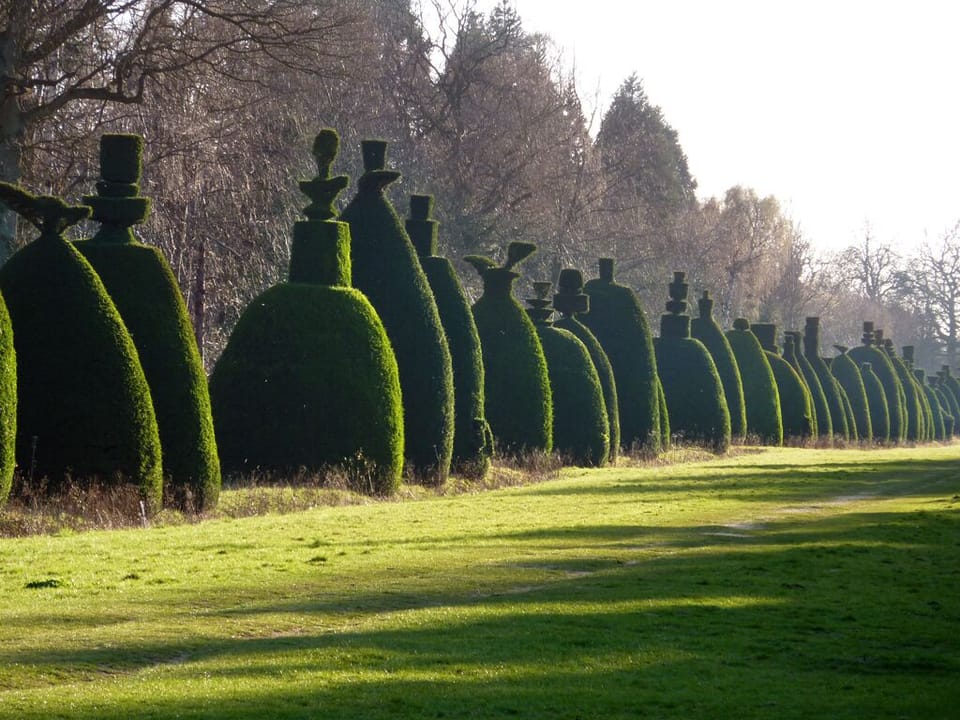 Yew Tree Avenue, Clipsham