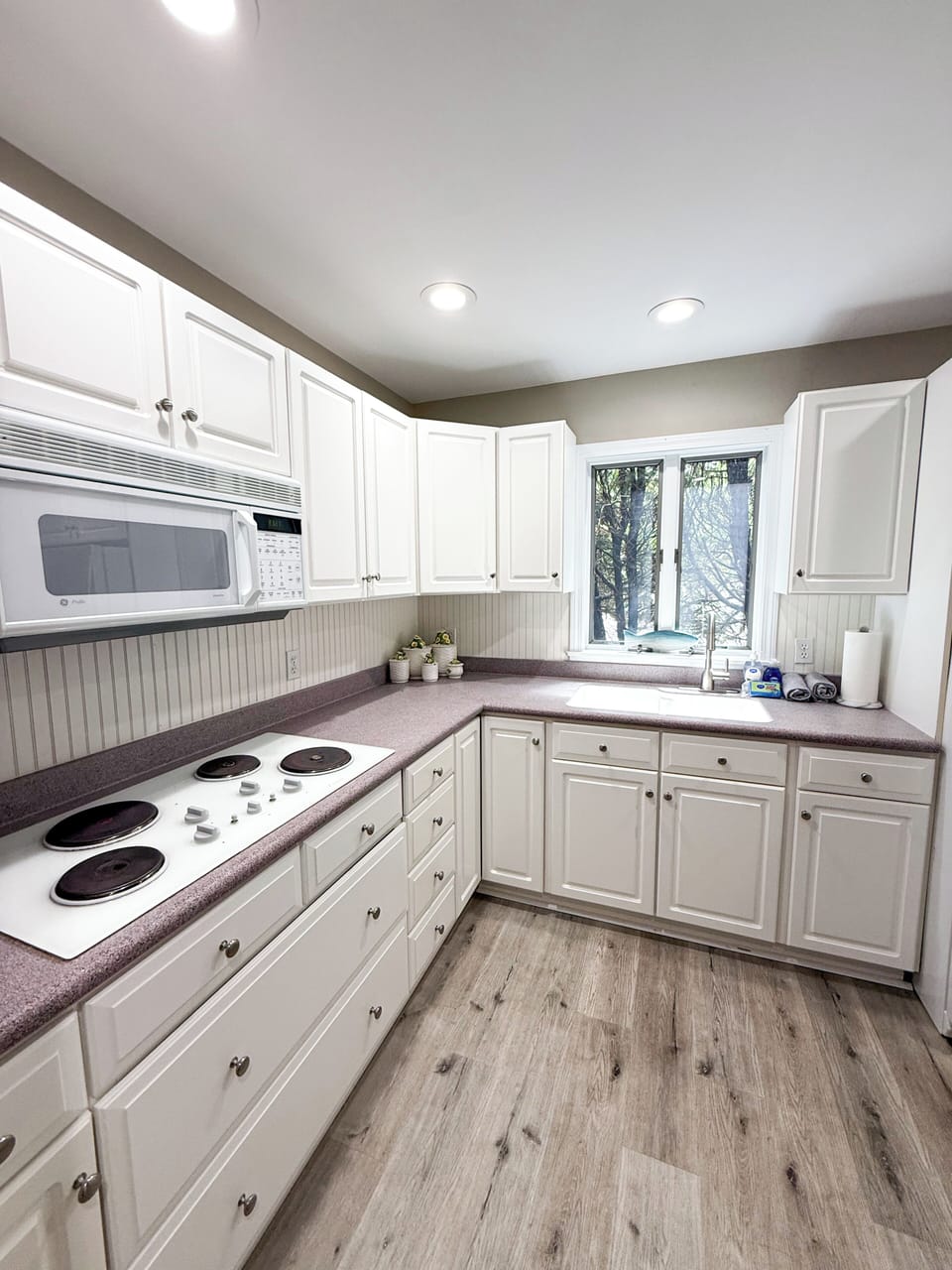 Lower Level Kitchen.