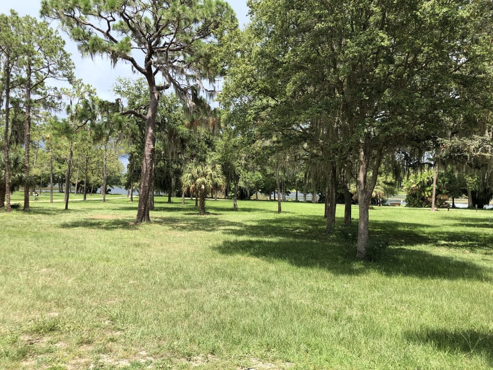 Taylor Park