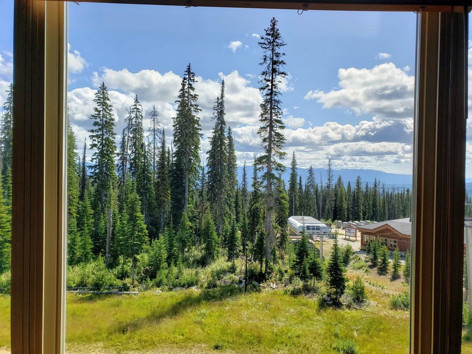Summer view from the living room.