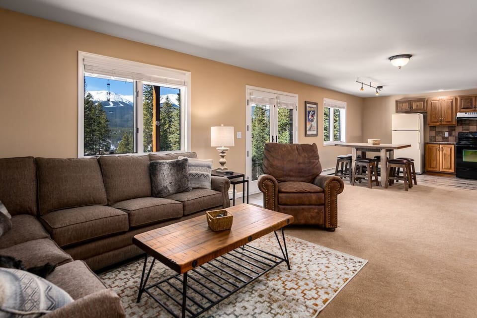 Lower Level Living Area - Sleeper sofa (sleeps 2)