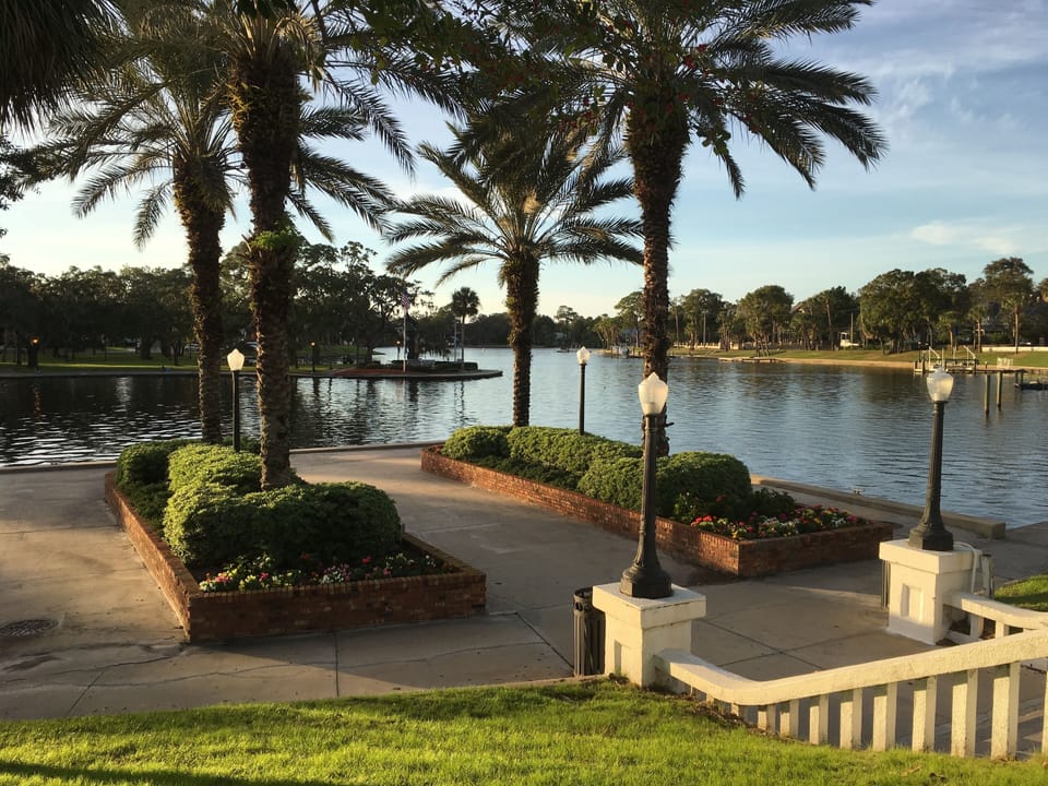 Whitcomb Bayou where the dolphins and manatees come,  just two shady blocks away