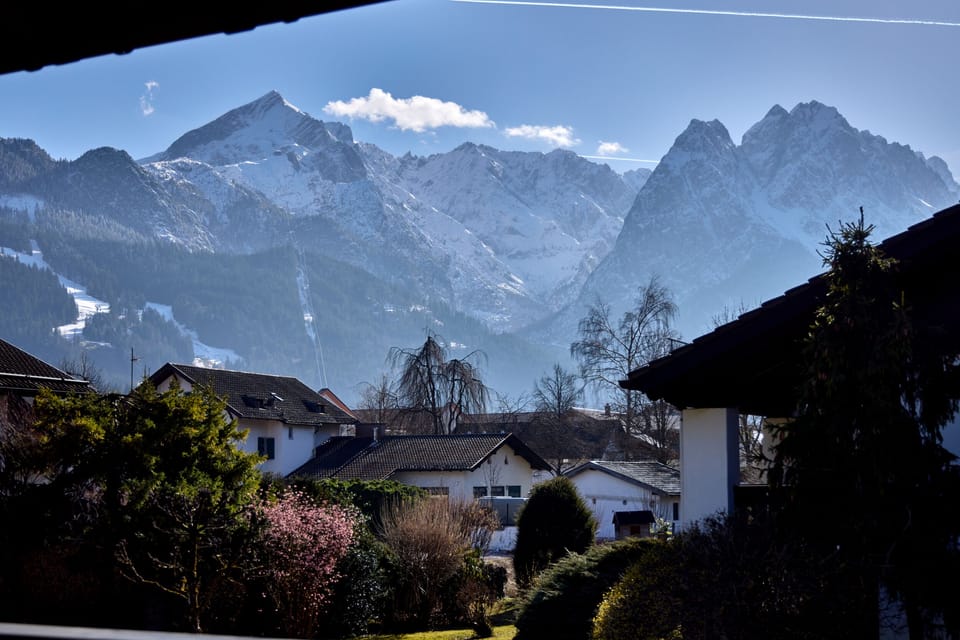 Garden view