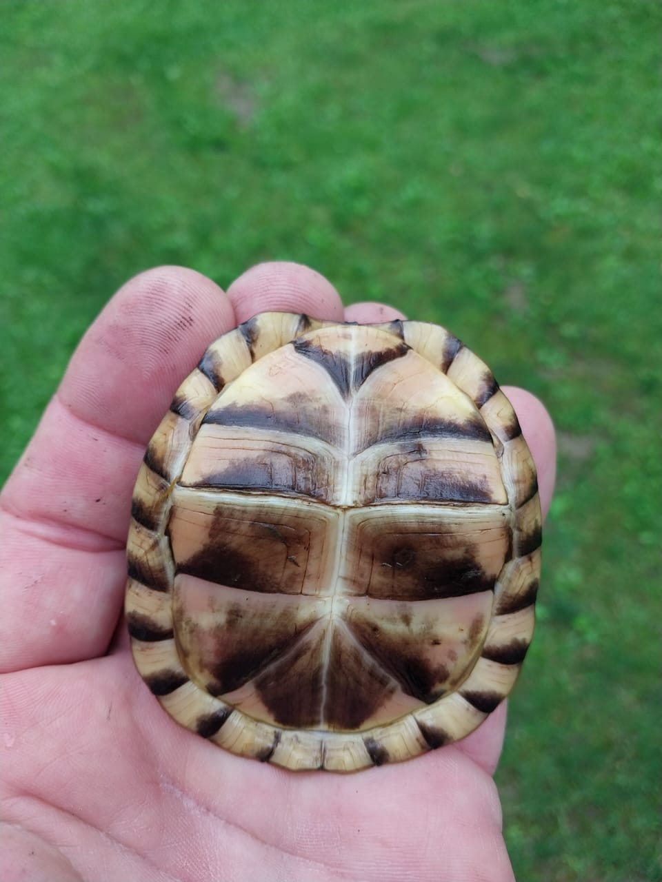 We have all kinds of neat animals! 