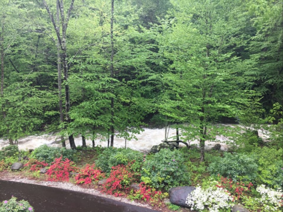 View from master suite 