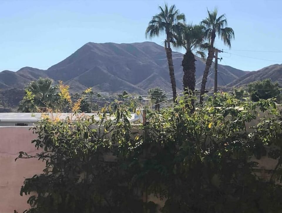 What’s in back of the Casita 🌴