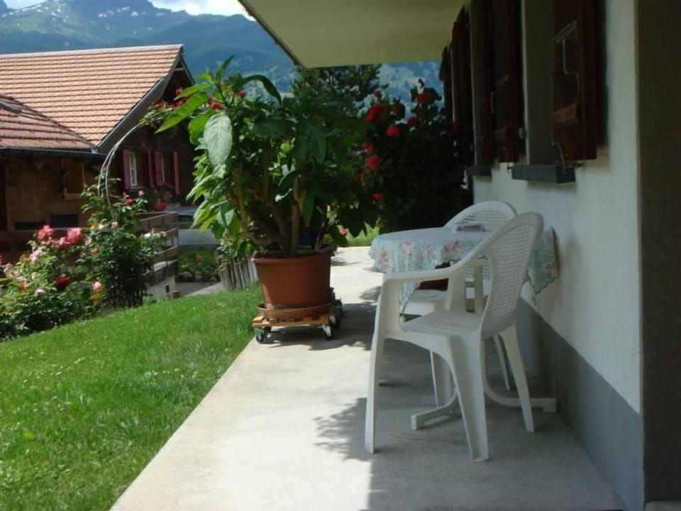 Picture 8
