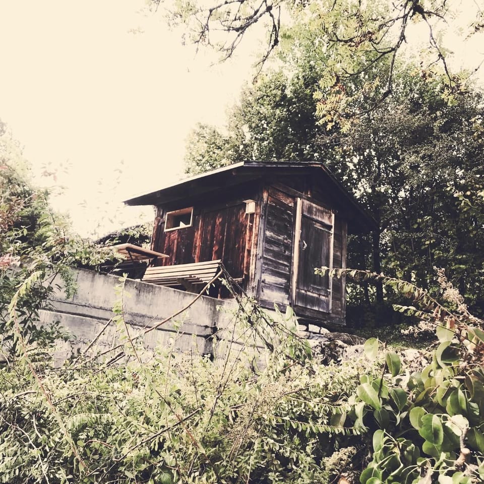 Sauna, in the former apiary