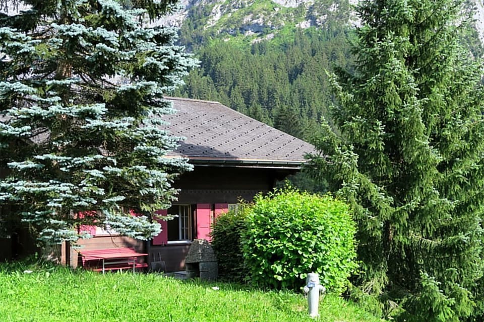Picture 4