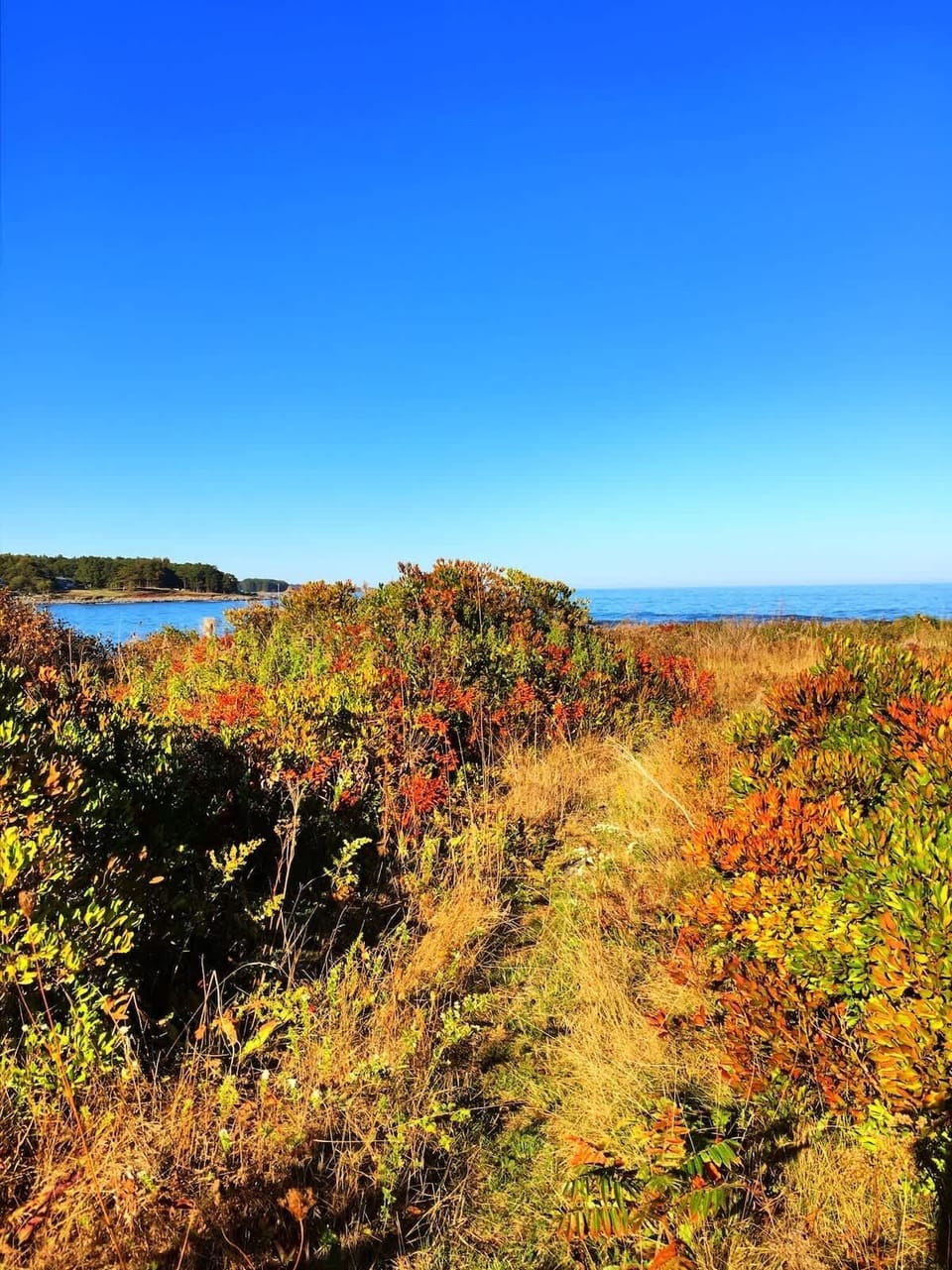 Walk some of Maine's best beaches, forts and coastal hikes.