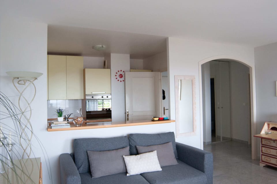 The living room/kitchen
