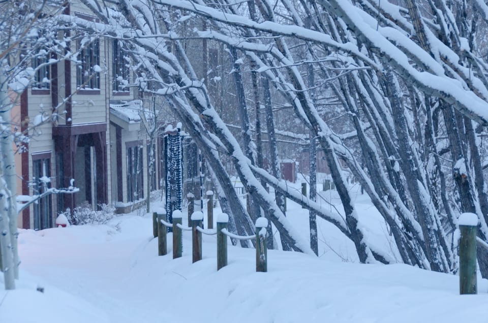 Pathway behind Marriott. 