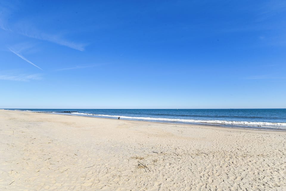 Amenity,Beach,