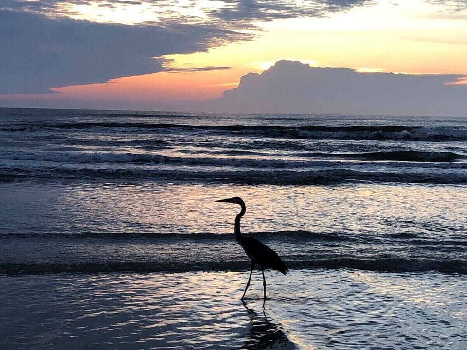 Ocean at Dusk