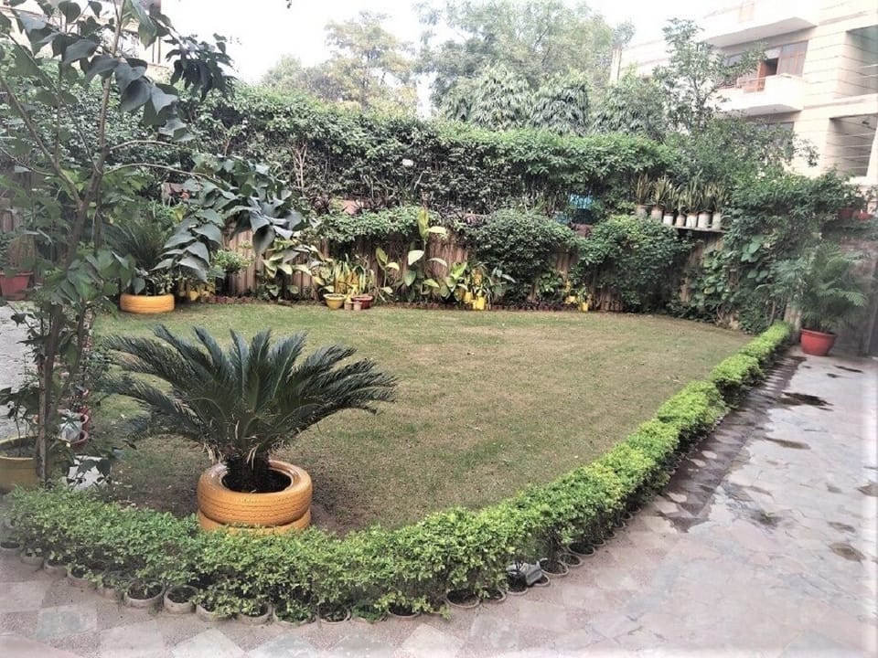 Front lawn