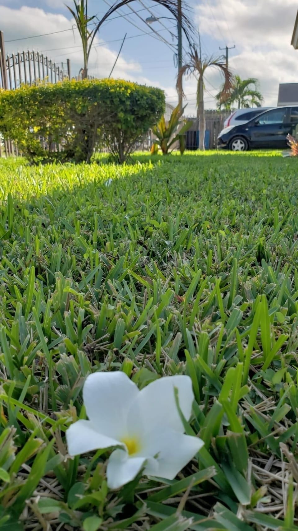 Property grounds