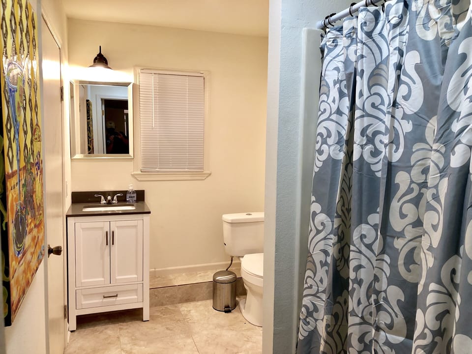 Master bathroom w/ shower, vanity & toilet