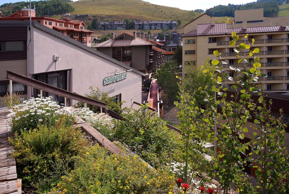 Stairs to pedestrian bridge(closed summer 2024)