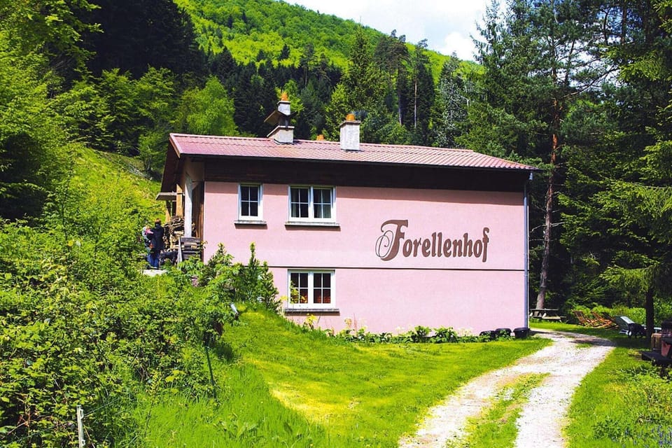 Immediate Surroundings [summer] (<1 km)