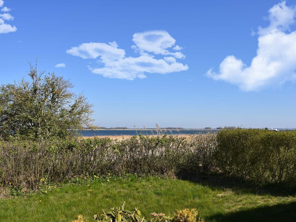 Area that directly surrounds the property