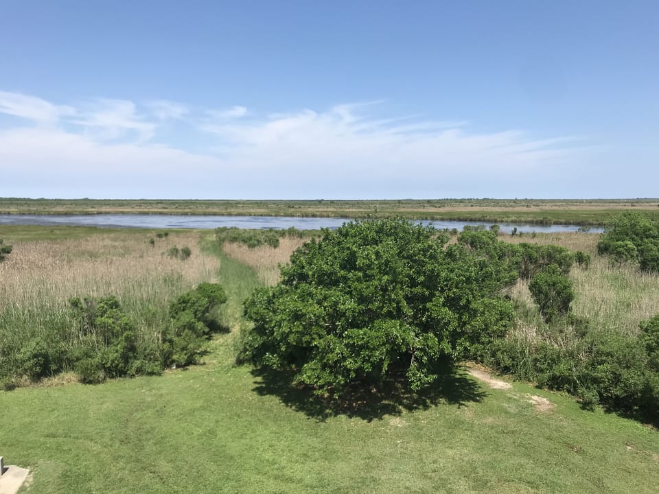 View from back porch