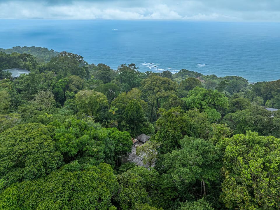 Aerial view of the villa nestled into the jungle hillside with ocean views