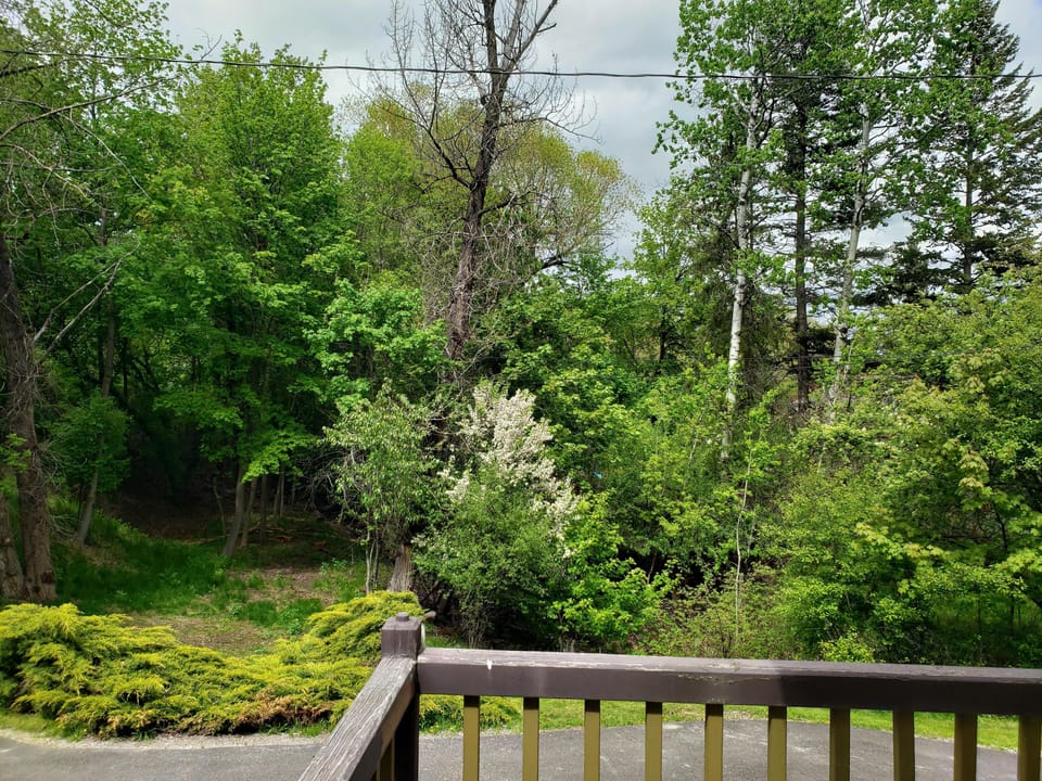 View from the Deck