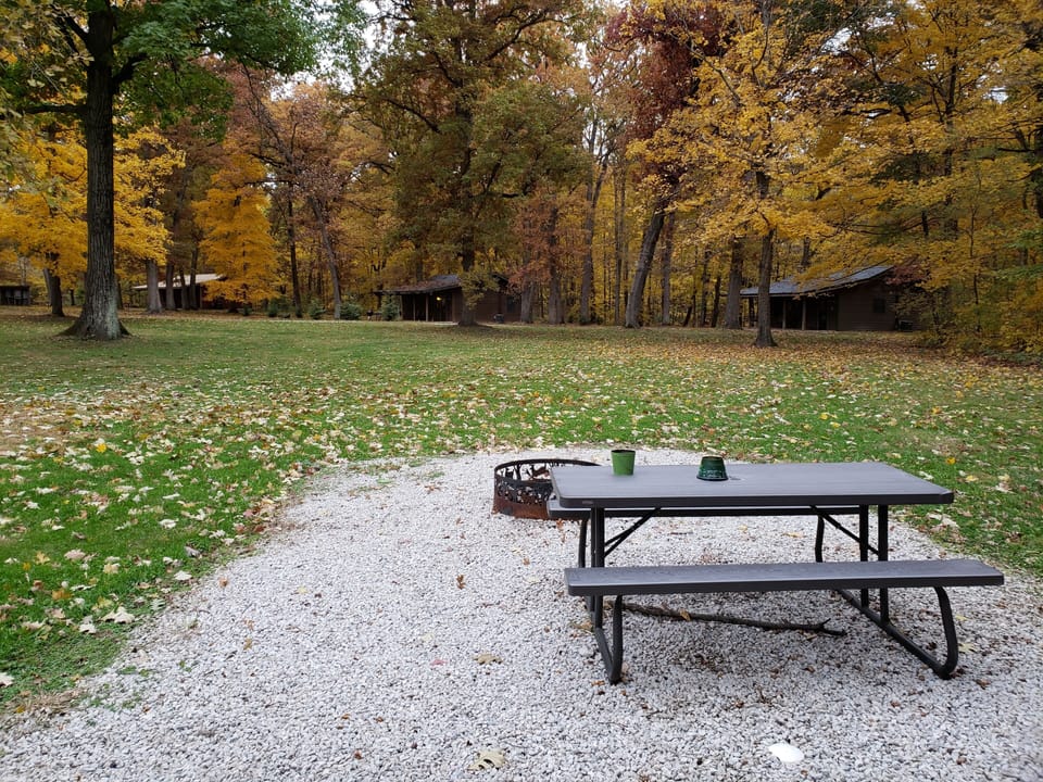 beautiful fall view on property