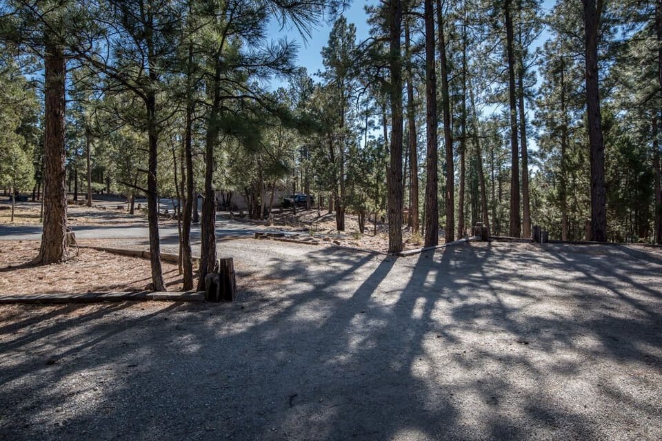 Standing on the front porch looking at the street.