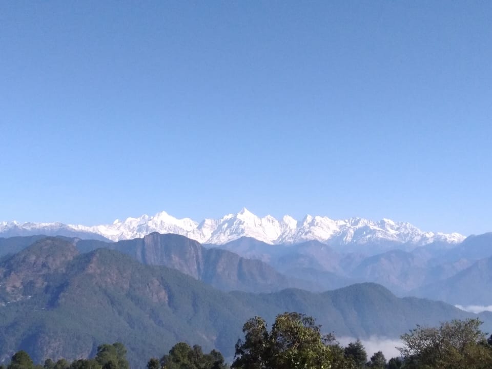 View from the room 