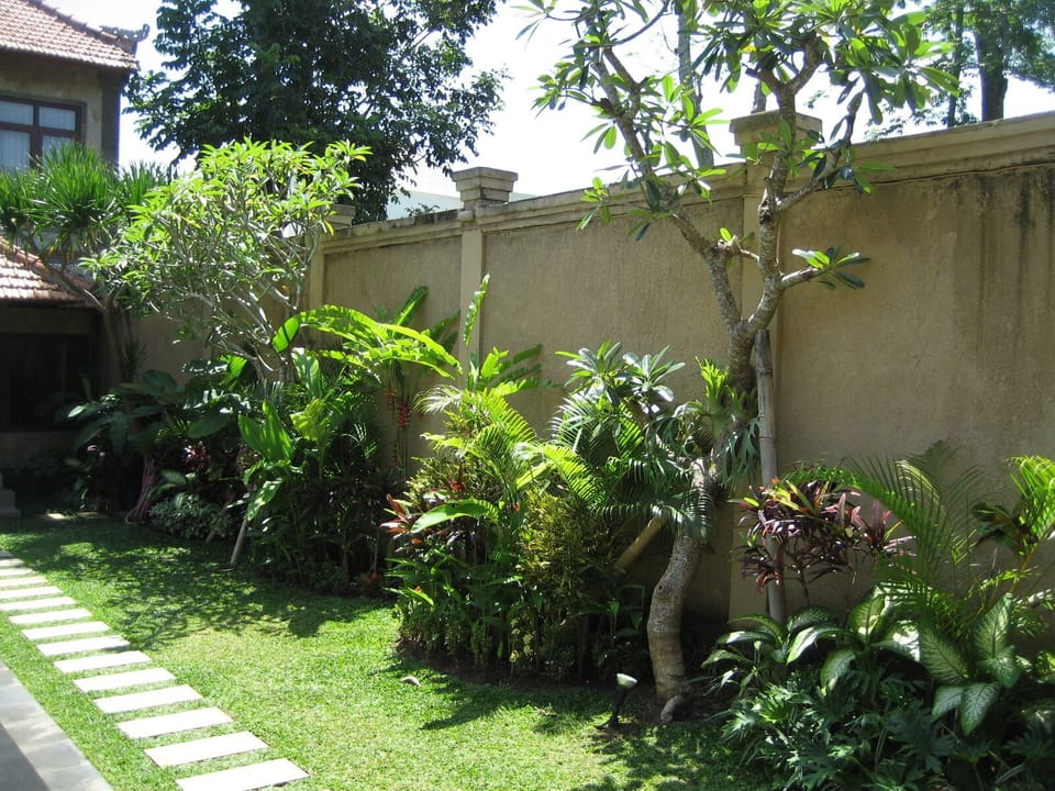 Tropical Garden