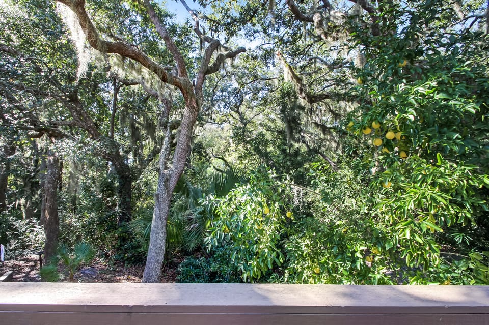 View from Private Balcony off Master Bedroom