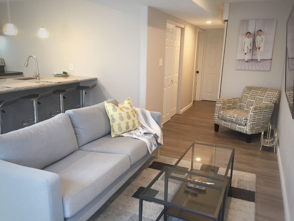 Entry to Living room