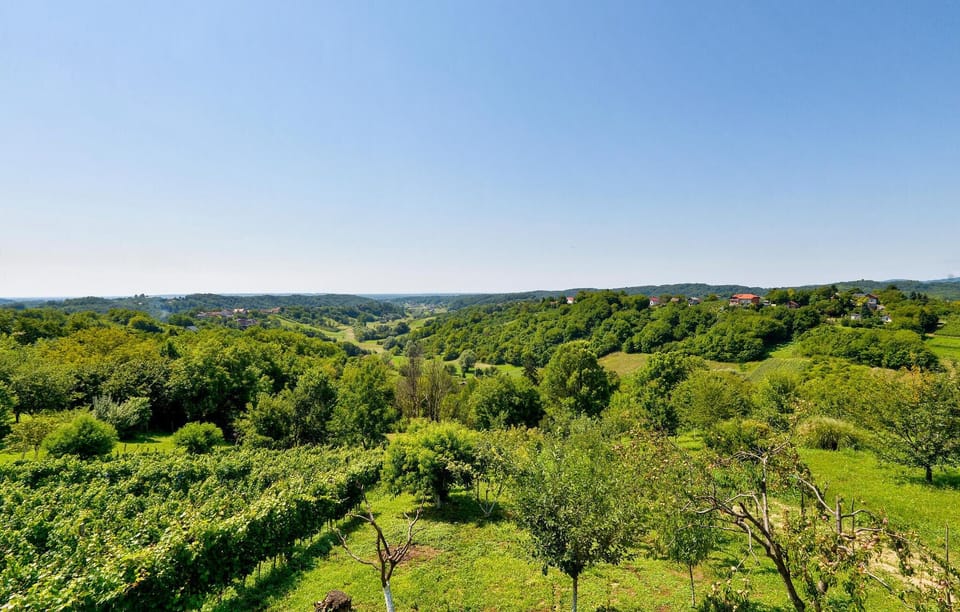 view-from-room