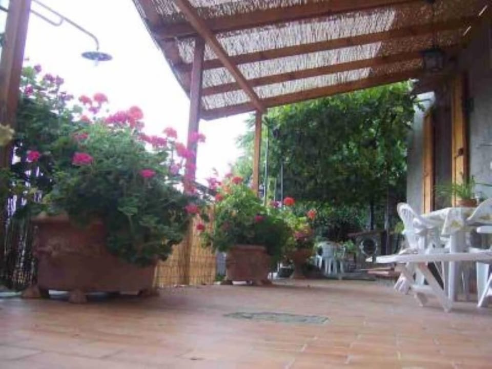 Terrace / Balcony