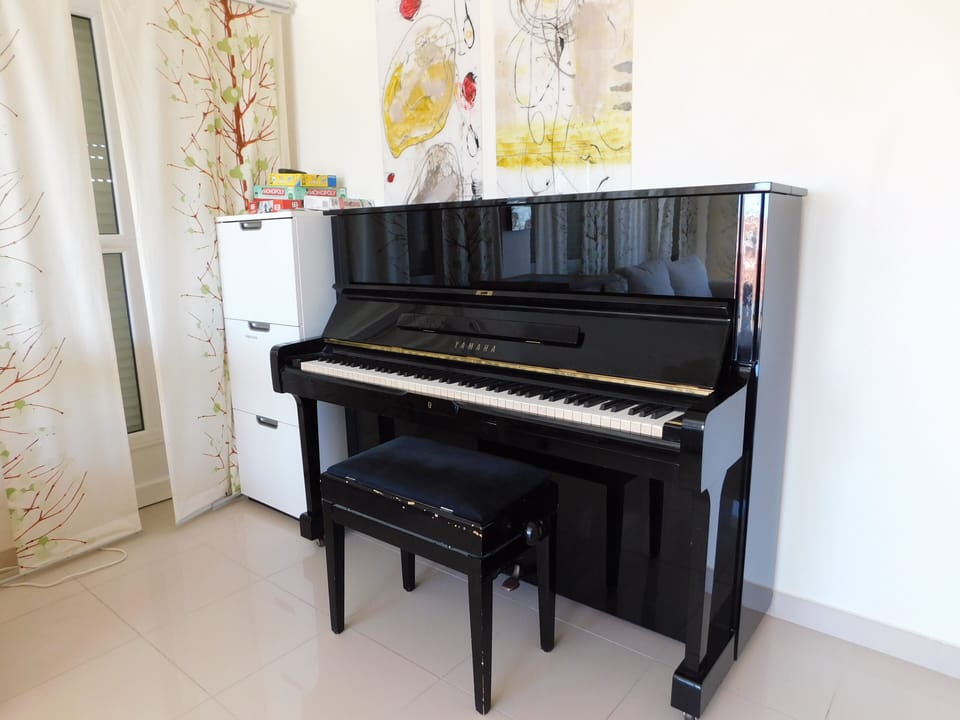 try out the Piano !