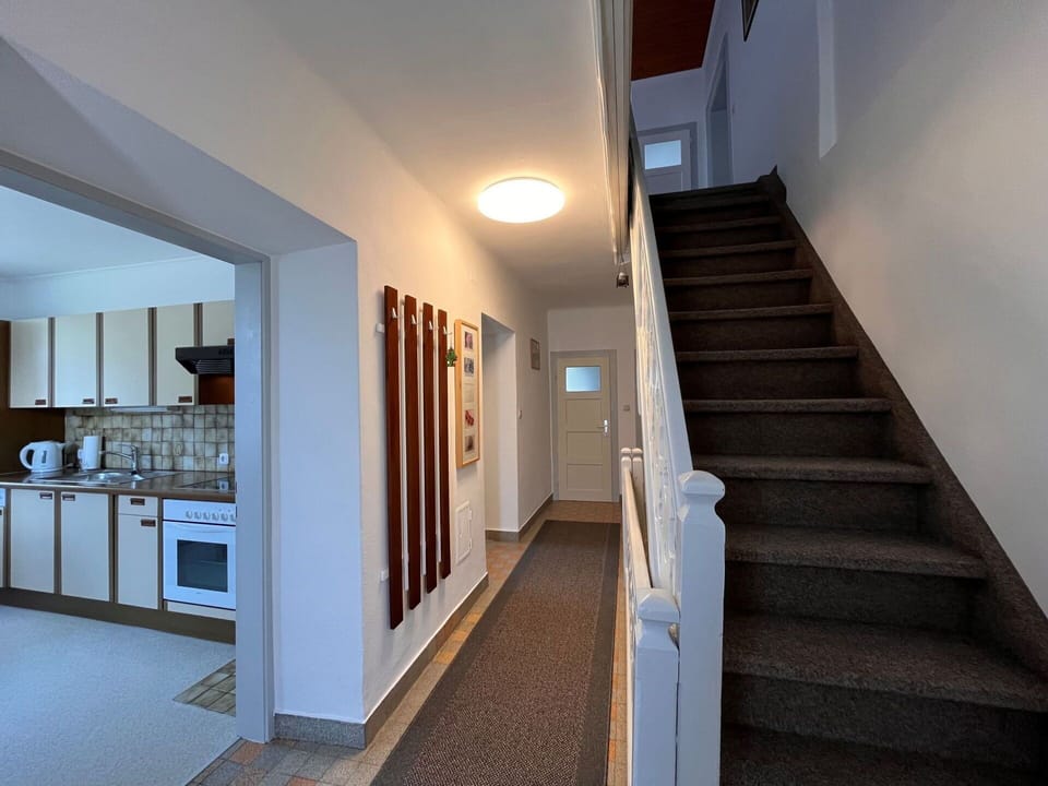 Cabinetry, Stairs, Wood, Interior Design, Building, Houseplant, Flooring, Hall, Hardwood