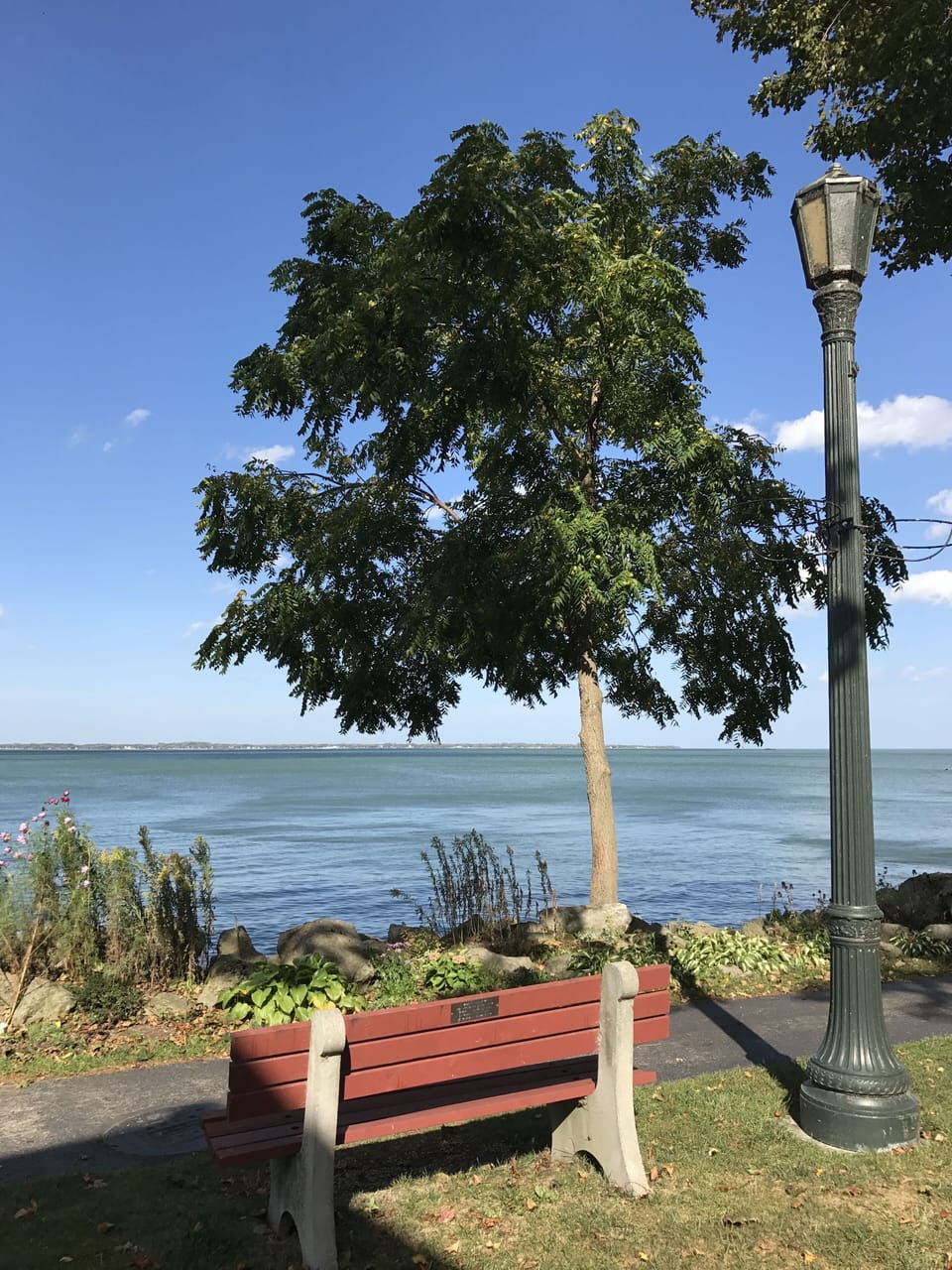 Foster memorial bench at bottom of Jasmine 