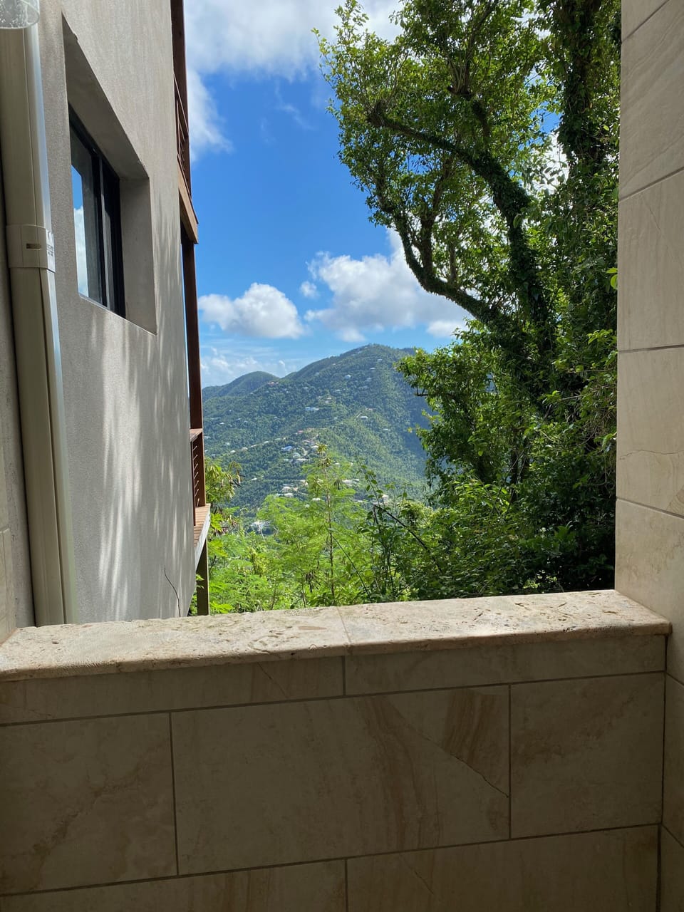Guest Shower