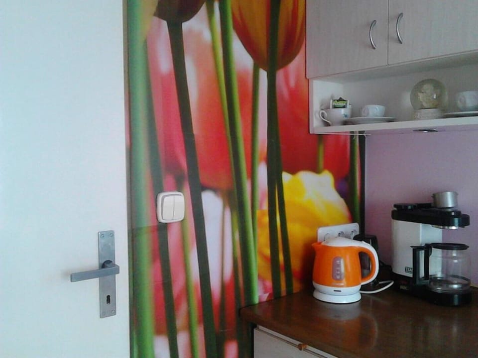 Jiřetínská chaloupka - Standard Apartment Apartment in Saxony