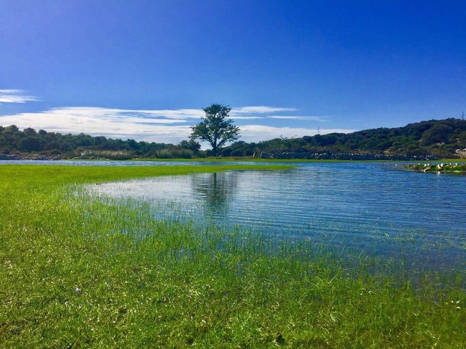 Lake