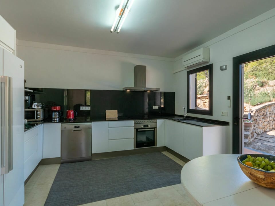 Cabinetry, Countertop, Furniture, Kitchen, Kitchen Stove, Building, Wood, Interior Design, Lighting, Houseplant