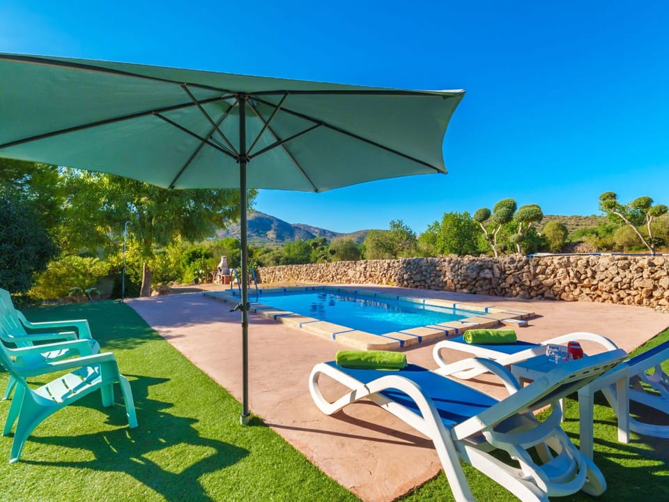 Plant, Sky, Swimming Pool, Umbrella, Sunlounger, Azure, Shade, Tree, Outdoor Furniture, Body Of Water