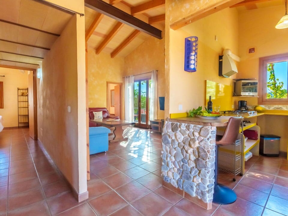 Property, Furniture, Table, Flowerpot, Wood, Houseplant, Interior Design, Chair, Plant, Floor