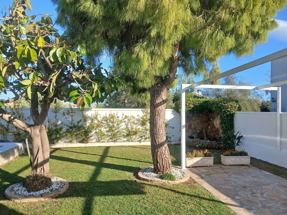 Garden, Shade, Woody Plant, Lawn, Landscaping, Yard, Backyard, Flowerpot
