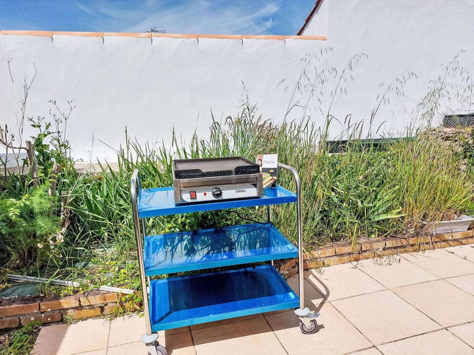 Garden, Houseplant, Stove, Backyard