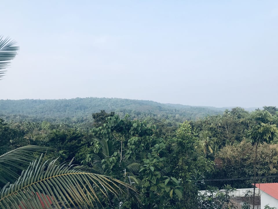 HANNA HOMESTAY Our place is full of nature House in Kerala