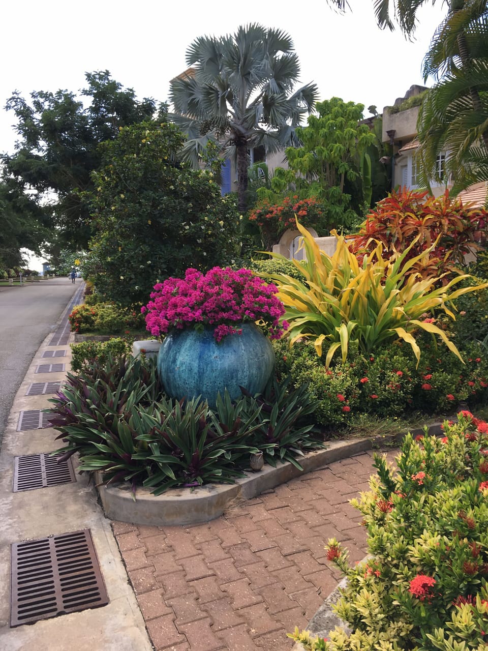 The stunning gardens at Port St Charles